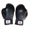 Nippon Kenpo Pair of Gloves