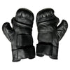 Nippon Kenpo Pair of Gloves