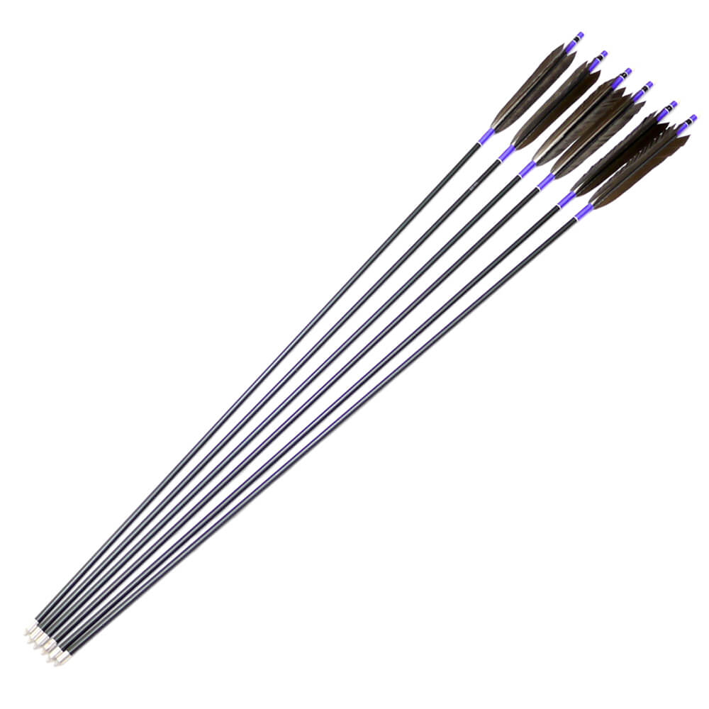 Japan - Set of arrows (ya)